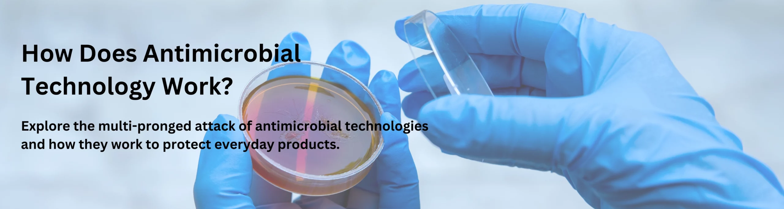 How Does Antimicrobial Technology Work
