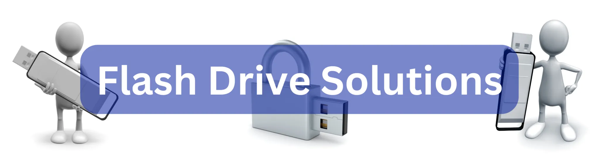 Flash-Drive-Solutions-Banner-2048x546