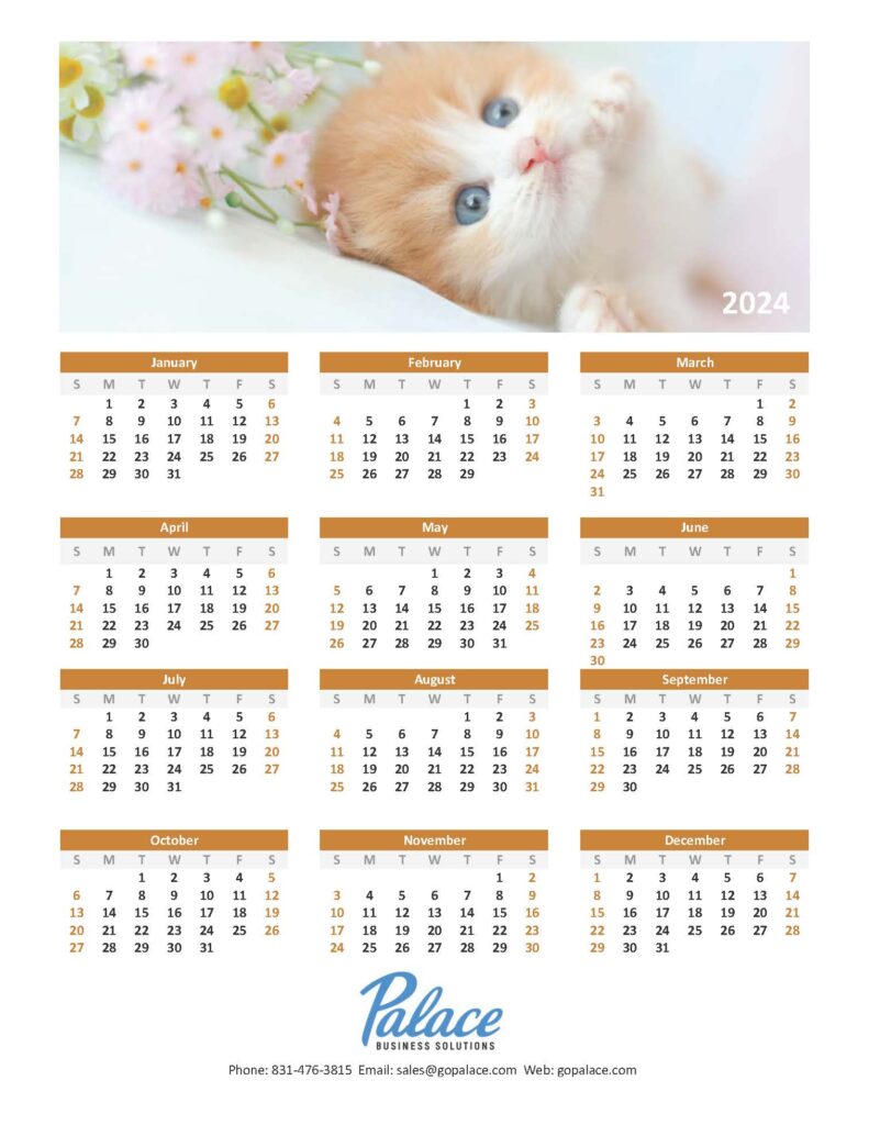 Kitty 1 Calendar 2024