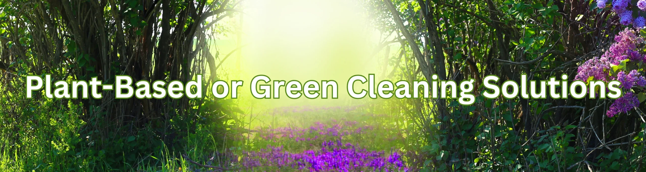 Plant-Based or Green Cleaning (1)