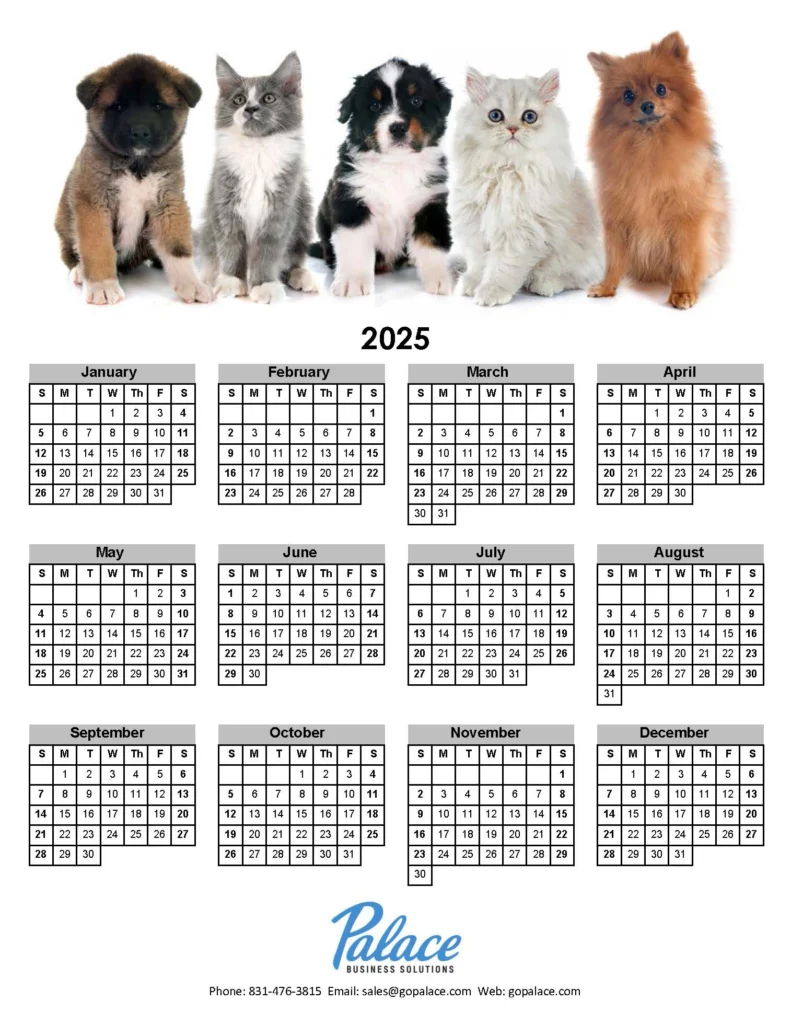 2025 Calendars Puppies & Kittens Palace